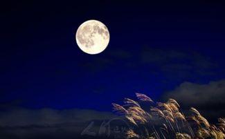 奈何明月负相思,千古情缘难舍